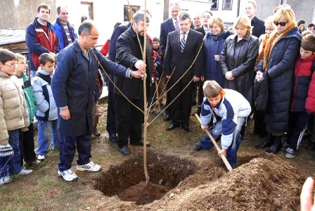 Cherry for Toshe in Krushevo