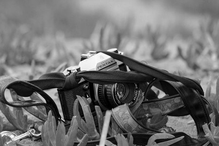 Film camera gray camera gray film