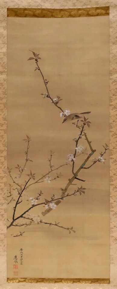 Cherry Blossoms, by Maruyama Oko, Edo period, dated 1776 AD, color on silk - Tokyo National Museum - Tokyo, Japan - DSC09508