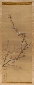 Cherry Blossoms, by Maruyama Oko, Edo period, dated 1776 AD, color on silk - Tokyo National Museum - Tokyo, Japan - DSC09508