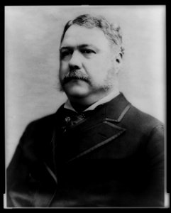 Chester A. Arthur, President of the United States LCCN96524270