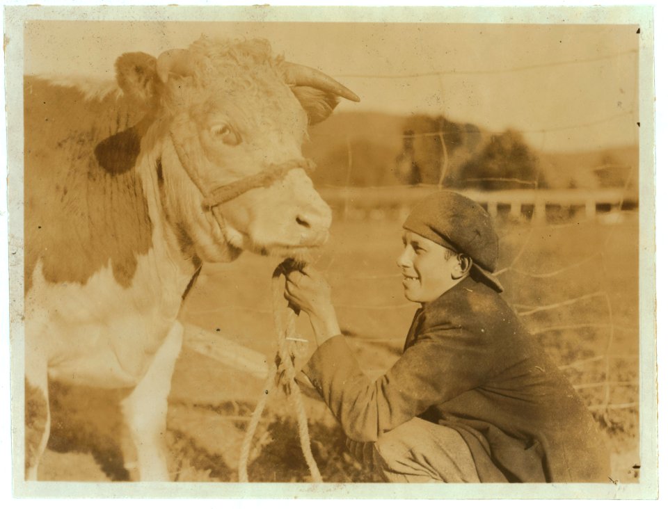 Chester Burnside, 16 yr. old member of 4 H Club with his Prize Hereford Heifer. It won a prize for him at the county fair and now he has it up at the State 4 H. Fair, at Charleston. LOC nclc.04401