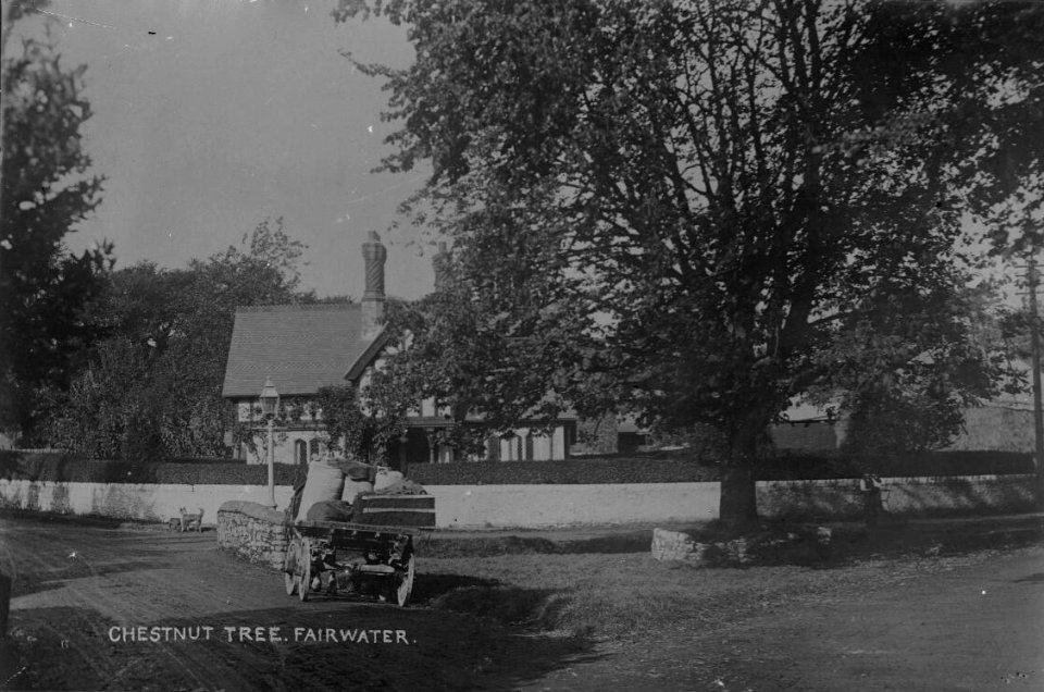 Chestnut Tree, Fairwater (4641460)