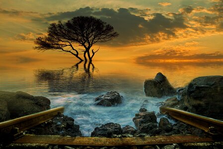 Dream sunset water photo