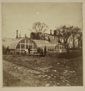 Chicago Fire of 1871, E.B.McCaggs Conservatory (NBY 1517)