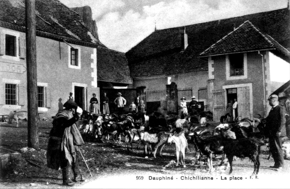 Chichilianne, la place, élevage caprin, p21 L'Isère 1900-1920 - E R