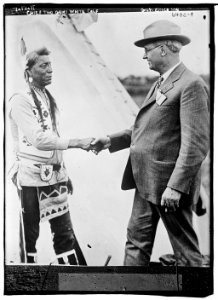 Chief 2 - guns White Calf and Gov. Erickson LCCN2014718526
