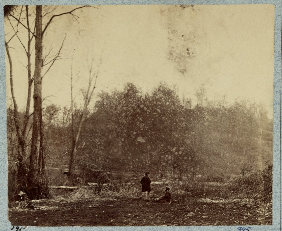 Chickasaw Bluffs, Miss. February 1864 LCCN2012646913