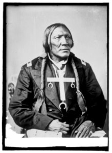Chief Hah-Het-Hone-Mah called Little Robe, Cheyanne LCCN2016821247