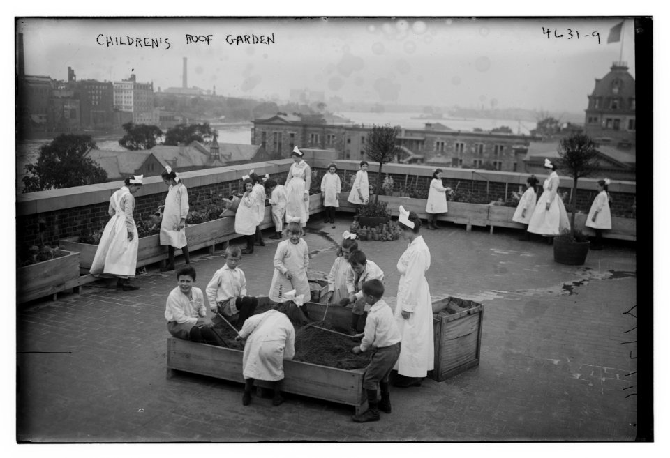 Chidren's roof garden LCCN2014707322