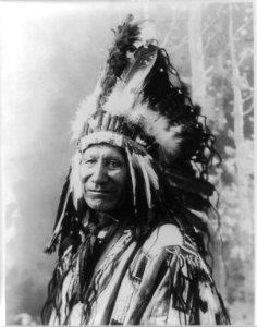 Chief American Horse LCCN2004674598