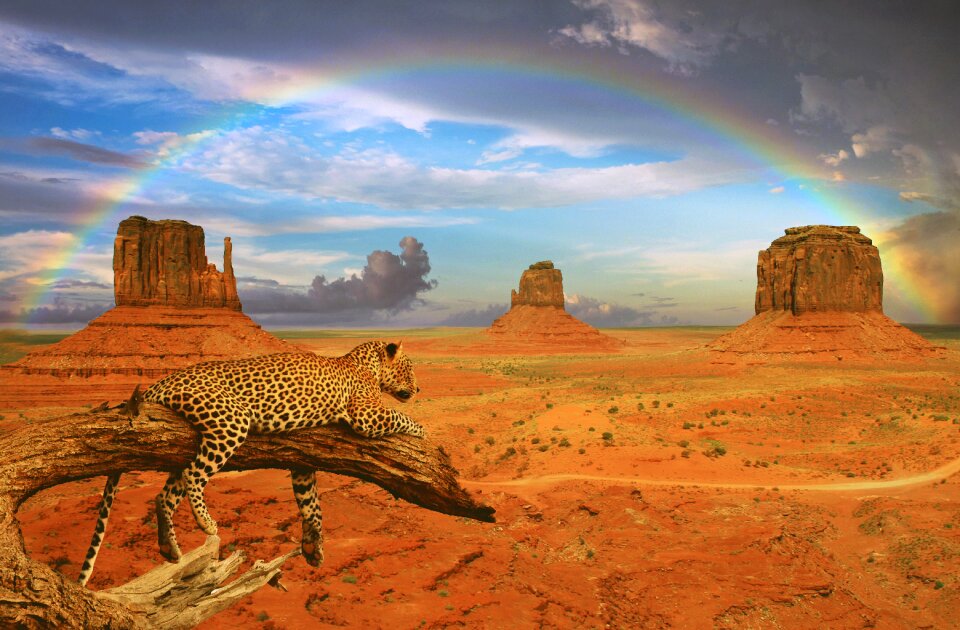 Monument valley photomontage composing
