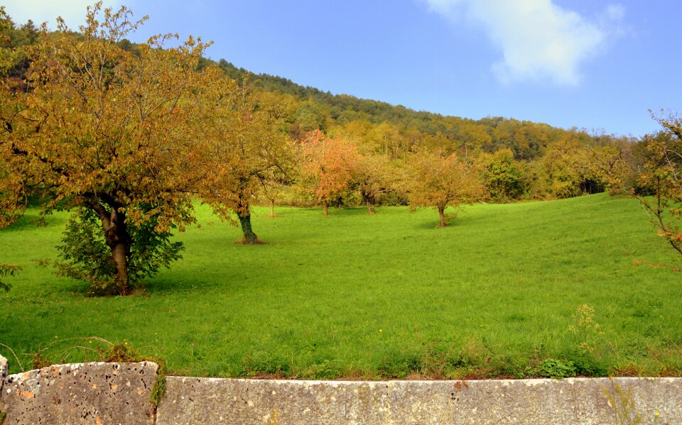 Nature mountain landscape