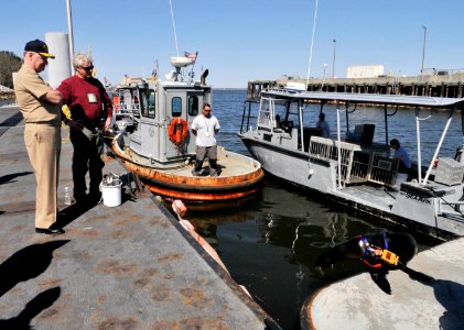 Chief of Naval Operations visits Navy Region Northwest 090219-N-FI224-184