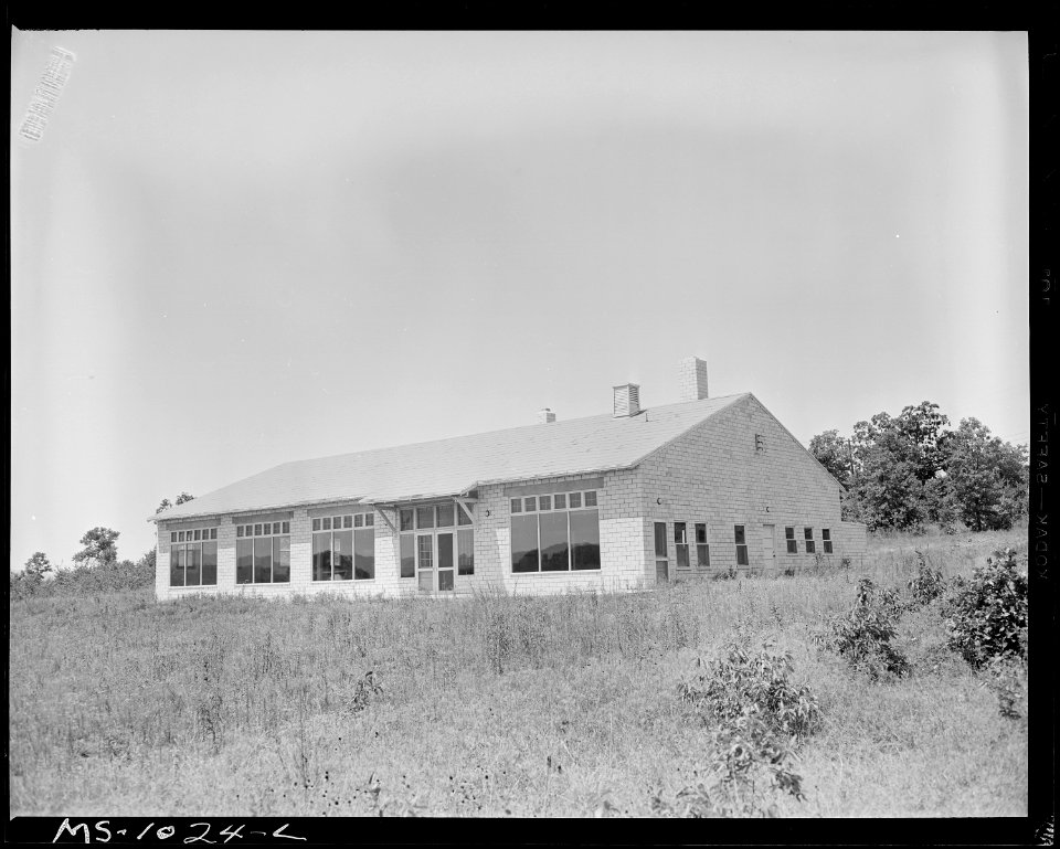 Commissary in government housing project for miners. This commissary has seen little use because the miners did not... - NARA - 540652