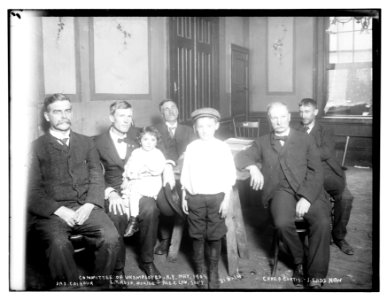 Committee of Unemployed, N.Y., 1908- Chas. A. Curtis, J . Eads How, Jas. Calhoun, L.T. Rush, Alex. Law, sec'y LCCN2014681463