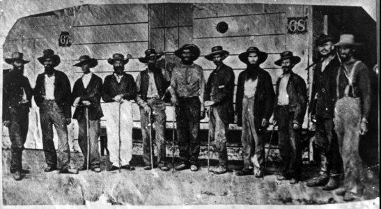 Commissioned officers of 19th Iowa Infantry after their exchange as prisoners of war, New Orleans LCCN2007677207