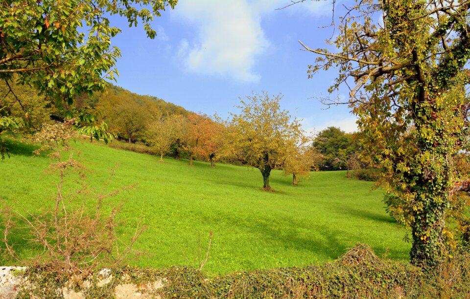 Nature mountain landscape