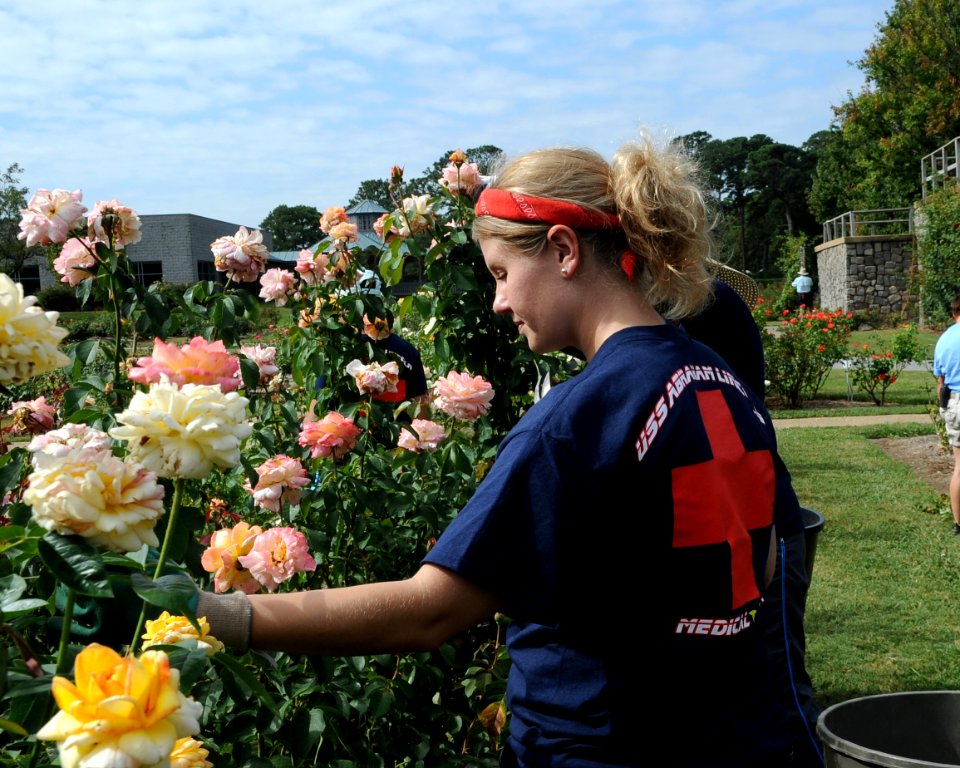 Community service in Norfolk 130912-N-HB951-043