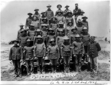 Company G, 9th U.S. volunteer infantry, posed on tier LCCN89715263