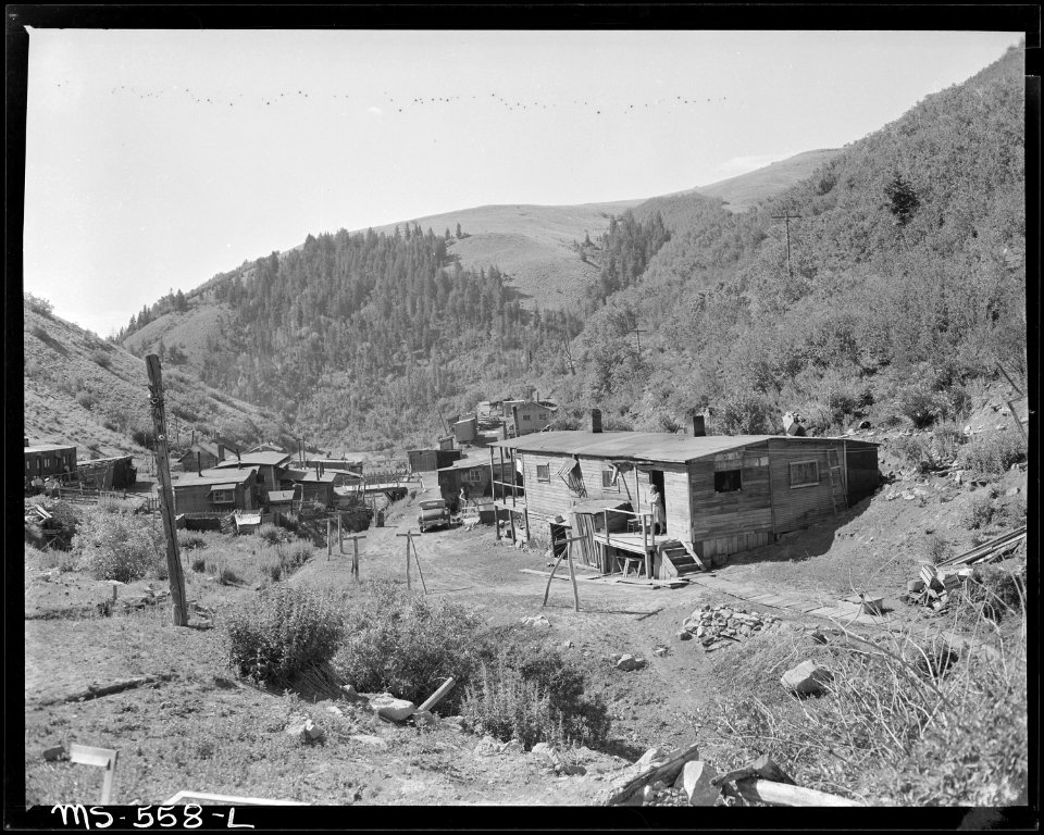 Company housing project at the mine. Hudson Coal Company, Hudson Mine, Sweet Mine, Carbon County, Utah. - NARA - 540487