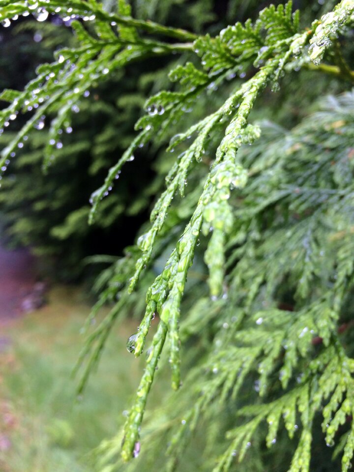 Nature natural environment