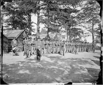 Company of 21st. Michigan Infantry, Sherman's veterans - NARA - 530547