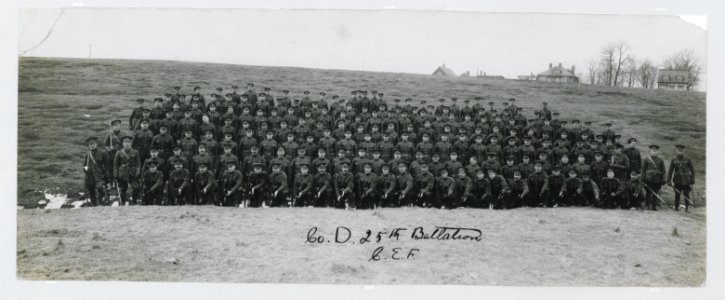 Company D 25th battalion Canadian Expeditionary Force (HS85-10-29979) original photo
