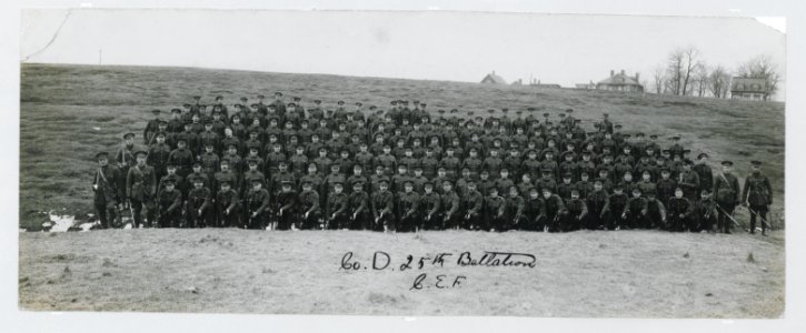 Company D 25th battalion Canadian Expeditionary Force (HS85-10-29979) original