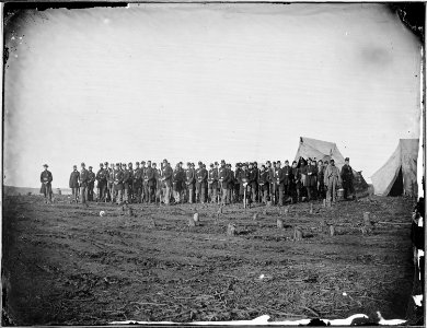 Company of Infantry on parade - NARA - 530546 photo