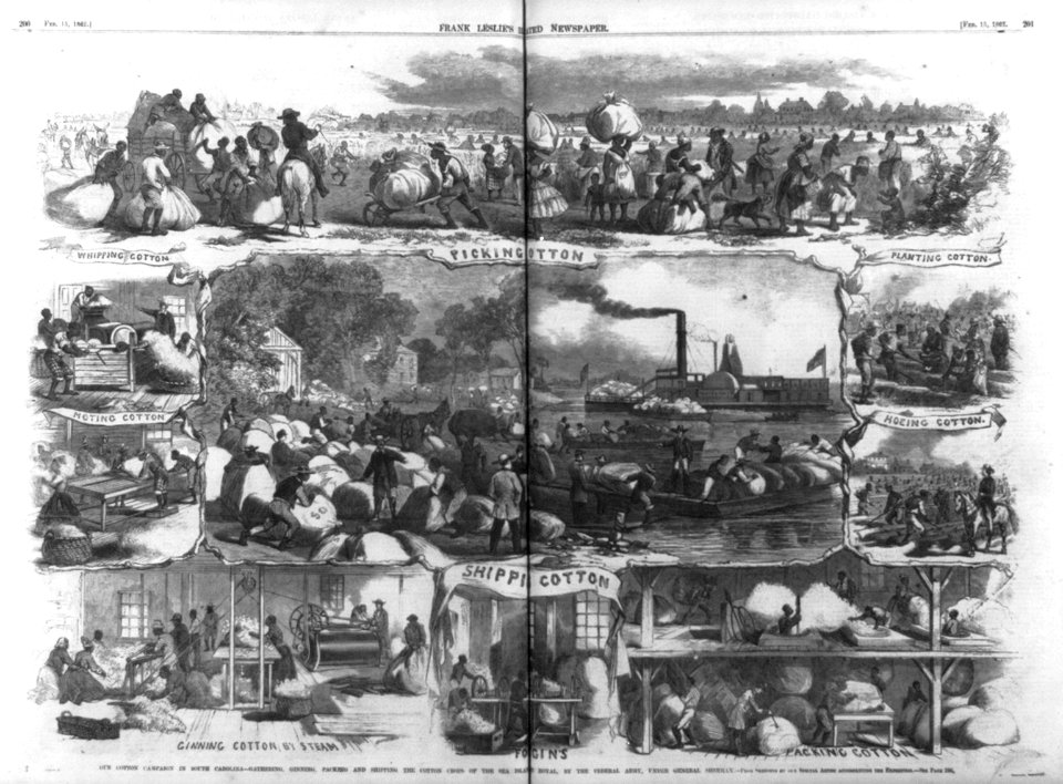 Composite of scenes of) Our cotton campaign in South Carolina - gathering, ginning, packing and shipping the cotton crops of the Sea Island Royal, by the Federal Army, under General Sherman LCCN2006681440