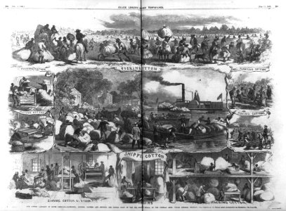 Composite of scenes of) Our cotton campaign in South Carolina - gathering, ginning, packing and shipping the cotton crops of the Sea Island Royal, by the Federal Army, under General Sherman LCCN2006681440