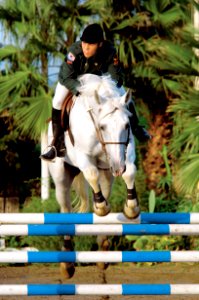 Competitive riding at the Military World Games