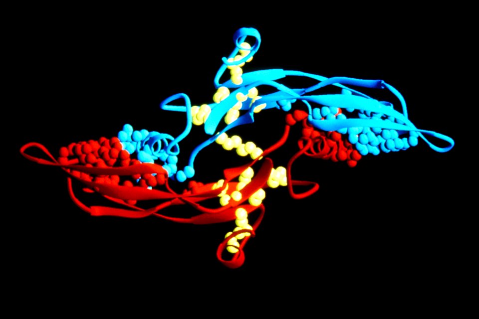 Computer graphic of tgf-beta