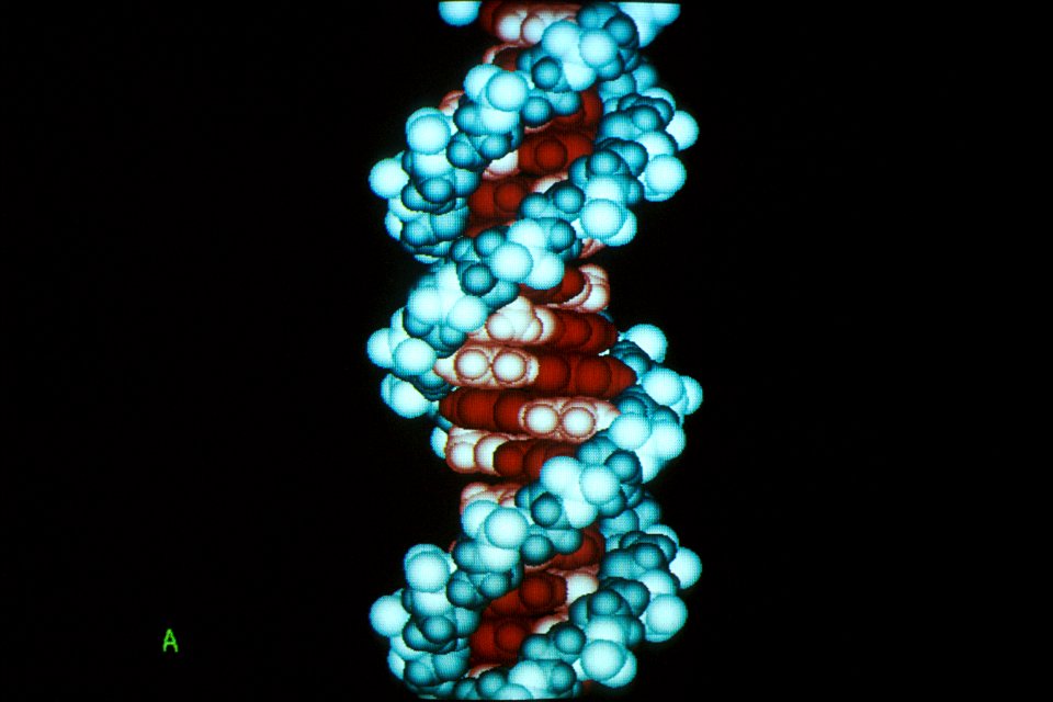 Computer DNA molecule