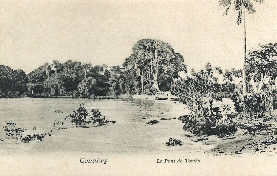 Conakry-Le pont de Tombo