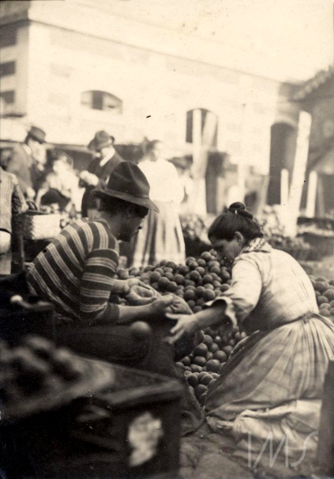 Comércio de frutas no mercado dos caipiras - Vincenzo Pastore