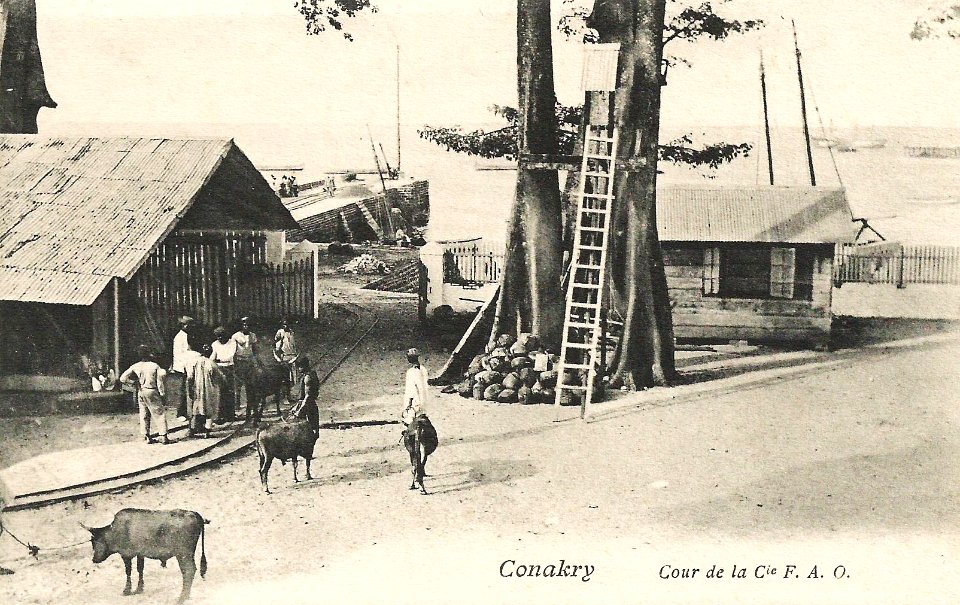 Conakry-Cour de la Cie FAO