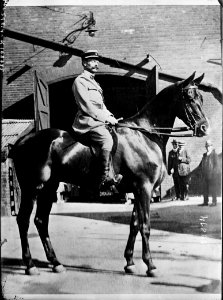 Concours hippique international 1920 à Londres, capitaine de Laissardière gagnant avec son cheval Loot