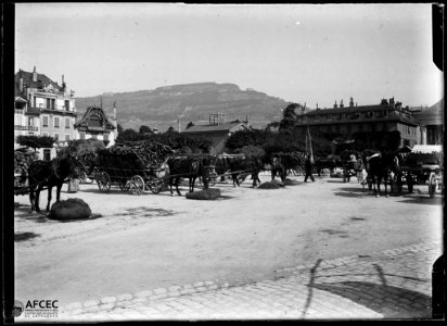 Concentració de carros tirats per cavalls plens de fusta en una plaça de Vevey