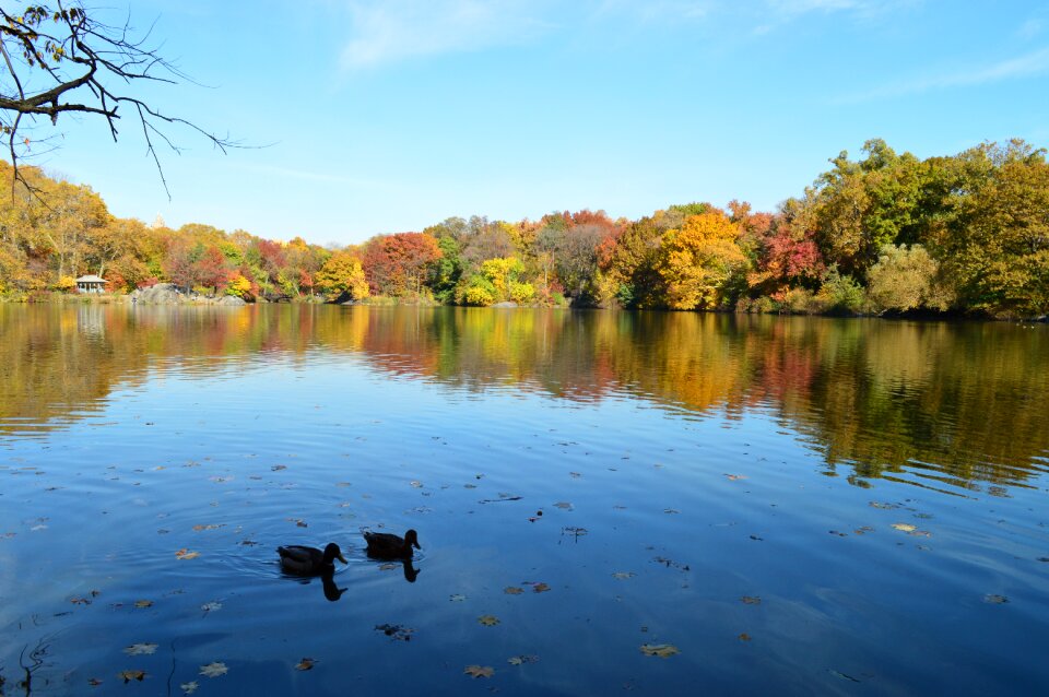 Newyork park travel