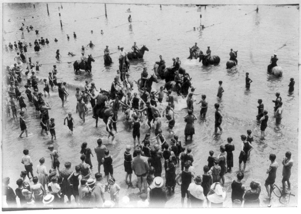 Coney Island (N.Y.), animals bathing LCCN2002707286