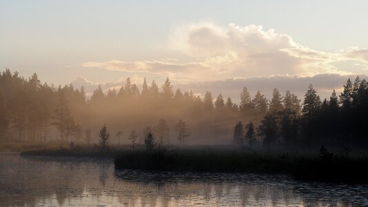 Fog lake finnish photo