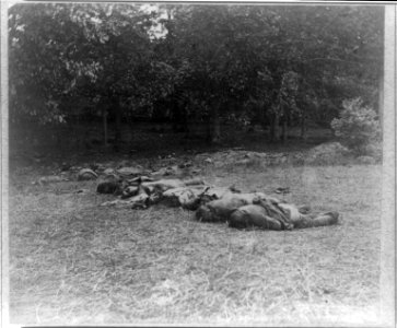 Confederate dead near centre of battle-field, Gettysburg, Pa. LCCN2008680497