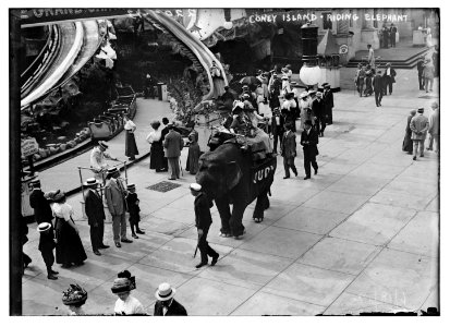 Coney Island, Riding Elephant LCCN2014689269 photo