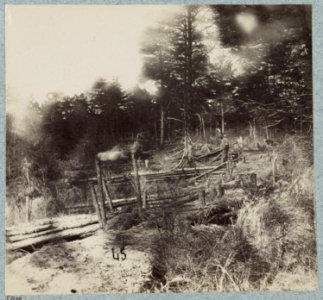 Confederate entrenchments at edge of woods, Palmer's field, on Orange Turnpike LCCN2012647726