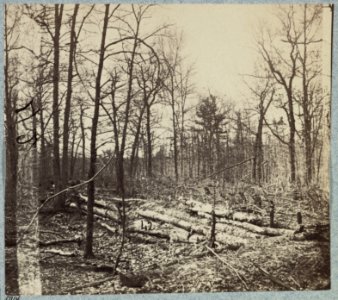 Confederate entrenchments in the woods near Spotswood's House LCCN2012647730