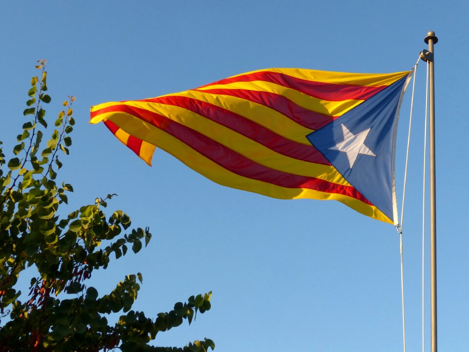 Estelada catalunya freedom