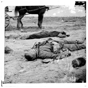Confederate and Union dead side by side in the trenches at Fort Mahone LOC cwpb.02550
