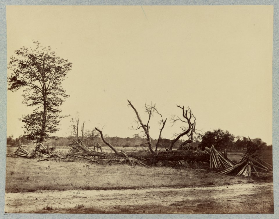 Confederate lines at Cold Harbor, Va LCCN2012646931